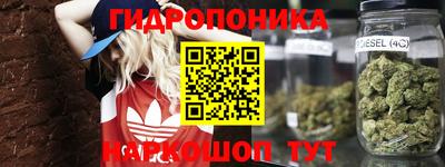 ПСИЛОЦИБИНОВЫЕ ГРИБЫ Краснокаменск