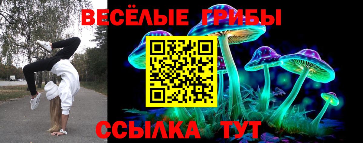 Кировск  Галлюциногенные грибы Magic Shrooms  Псилоцибиновые грибы MAGIC MUSHROOMS  Вход с VPN 